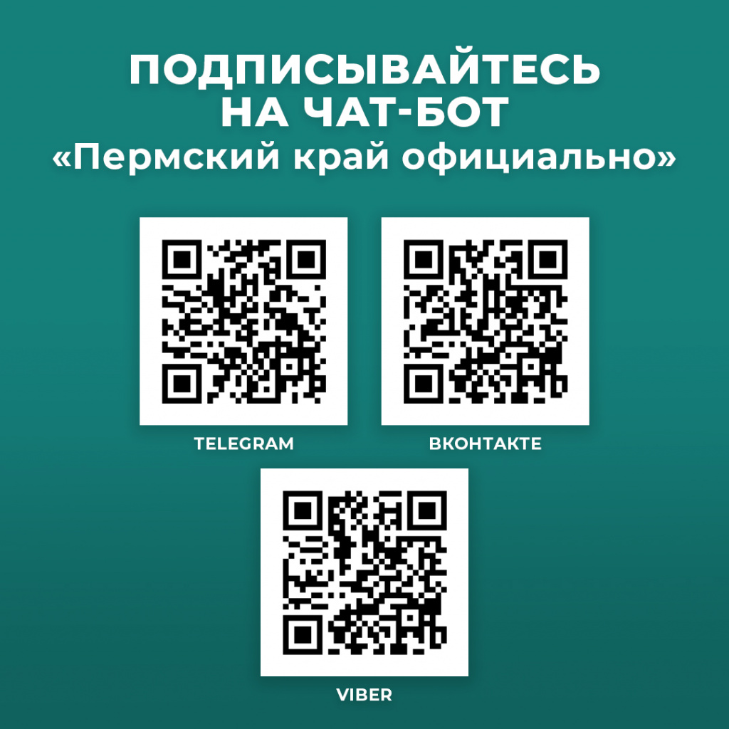 чат-бот QR.jpg
